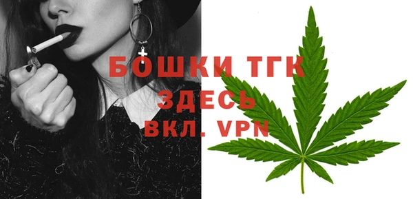 МДПВ Козловка