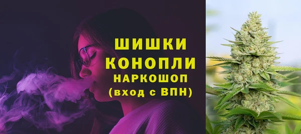твердый Кодинск