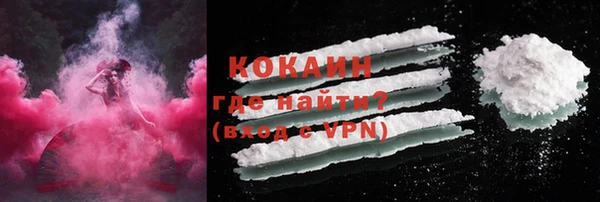 твердый Кодинск