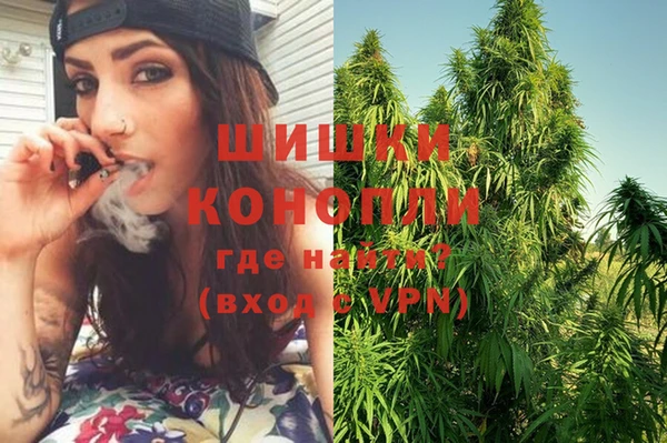 МДПВ Козловка