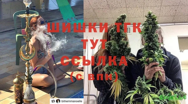 spice Киреевск