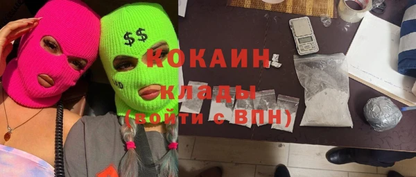 твердый Кодинск