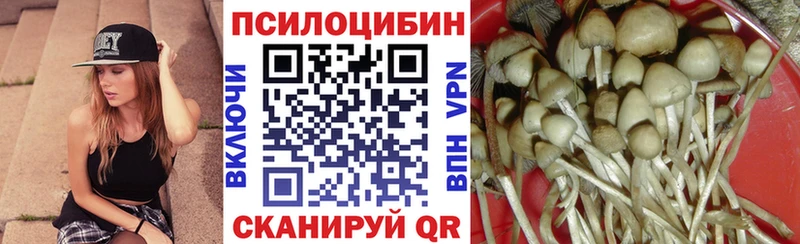 Галлюциногенные грибы GOLDEN TEACHER  Купить закладки  Арамиль 